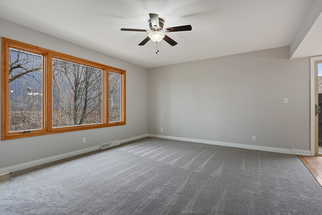 996 Schoolgate Road, Unit 4 New Lenox, IL 60451 - Photo 3 of 15 an empty room with windows and chandelier fan