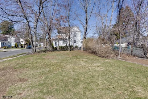 a view of a yard with a tree