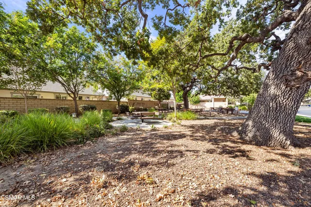 a view of yard with green space