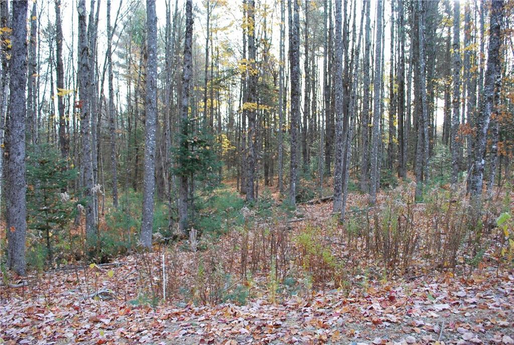 83 N Road Harmony, ME 04942 - Photo 5 of 15 Photo