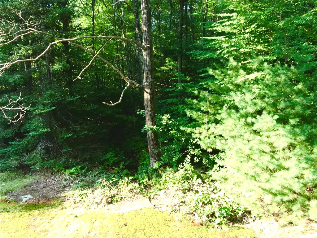 525 Hill Road Burrillville, RI 02859 - Photo 14 of 29 Gallery Image 14
