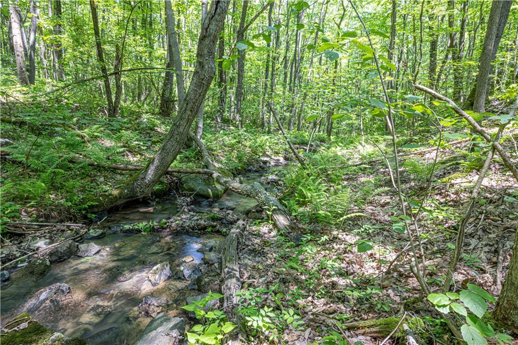 505 Greenbriar Road Dunbar, PA 15431 - Photo 41 of 43 a view of a lush green forest