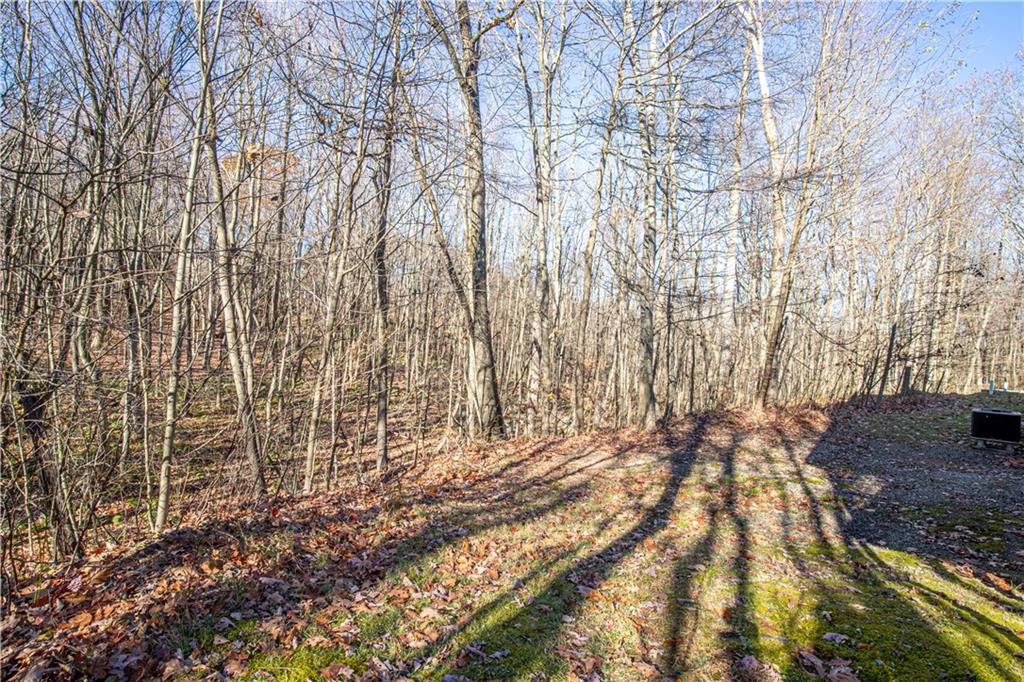 505 Greenbriar Road Dunbar, PA 15431 - Photo 42 of 43 a view of yard