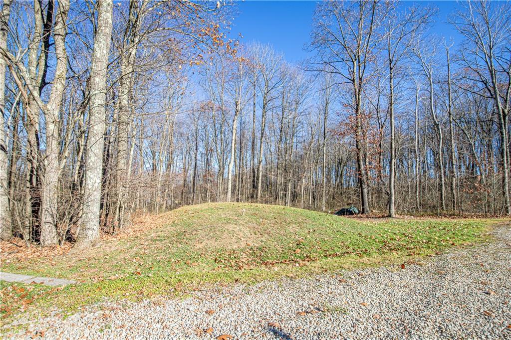 505 Greenbriar Road Dunbar, PA 15431 - Photo 43 of 43 a view of a yard with large trees