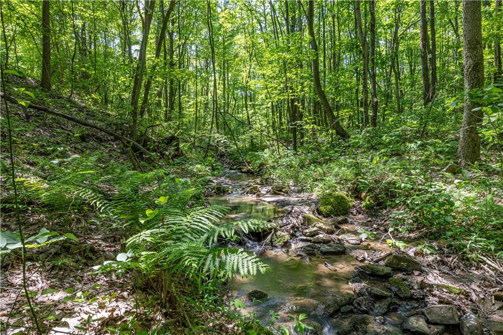 505 Greenbriar Road Dunbar, PA 15431 - Photo 6 of 43 a view of a garden
