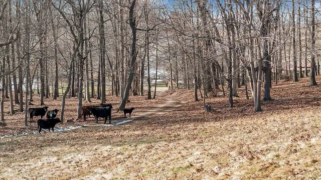 $415,000 | 1859 Fort Chiswell Road, Max Meadows, VA 24360