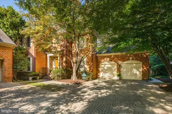 a view of a road with large trees
