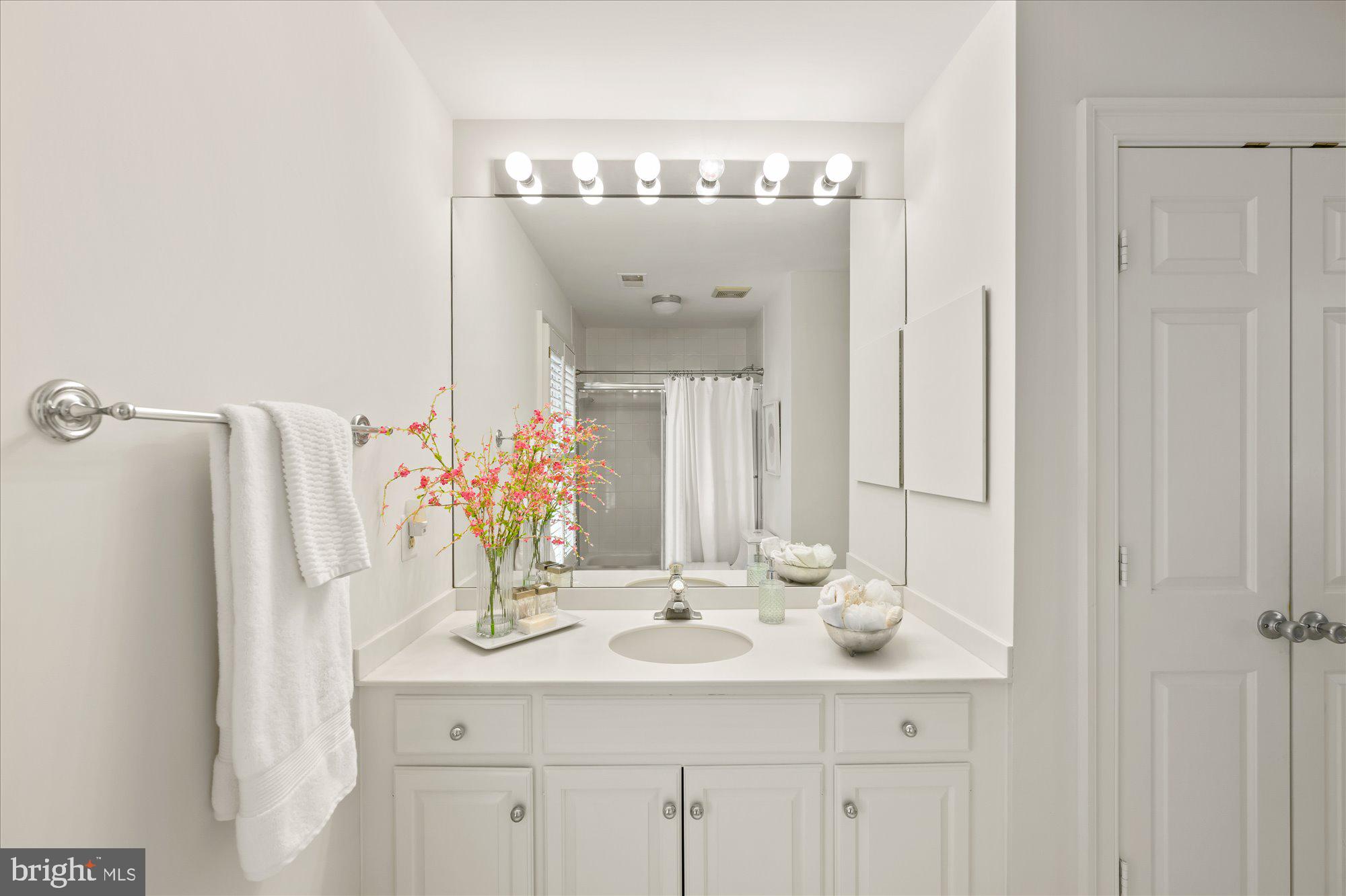 9729 Beman Woods Way Potomac, MD 20854 - Photo 30 of 41 a bathroom with a sink vanity and a mirror