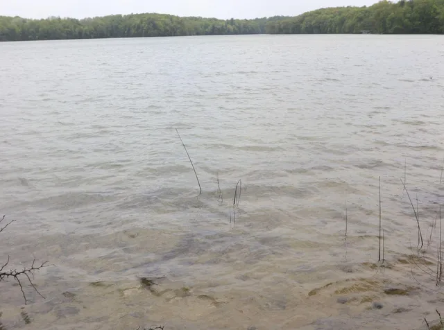 $185,000 | V/l V/l Tranquil Wood Lane, Bellaire, MI 49615