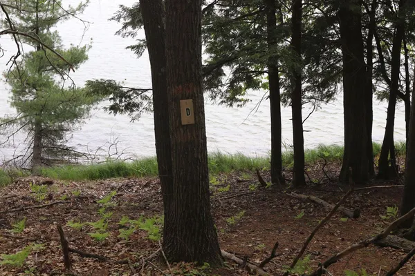 $185,000 | V/l V/l Tranquil Wood Lane, Bellaire, MI 49615