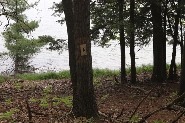 $185,000 | V/l V/l Tranquil Wood Lane, Bellaire, MI 49615