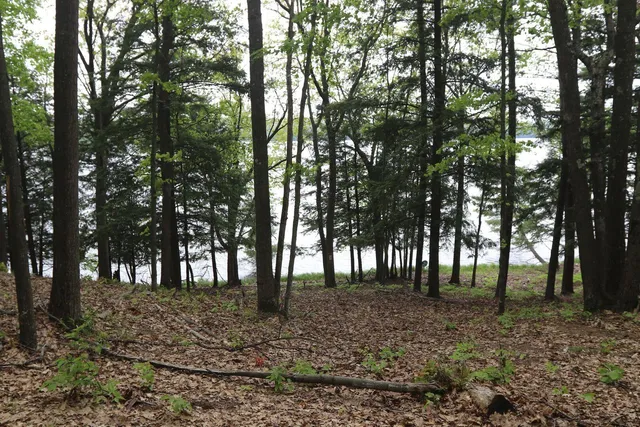 $185,000 | V/l V/l Tranquil Wood Lane, Bellaire, MI 49615