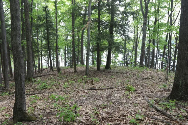 $185,000 | V/l V/l Tranquil Wood Lane, Bellaire, MI 49615