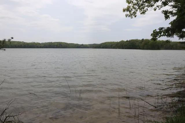 $185,000 | V/l V/l Tranquil Wood Lane, Bellaire, MI 49615