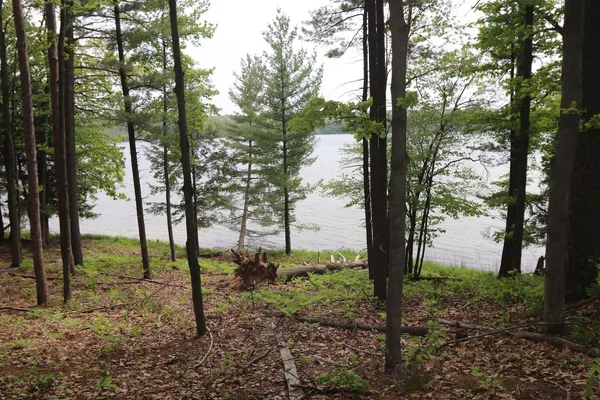 $185,000 | V/l V/l Tranquil Wood Lane, Bellaire, MI 49615