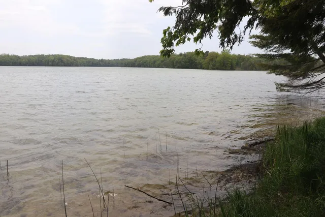 $185,000 | V/l V/l Tranquil Wood Lane, Bellaire, MI 49615