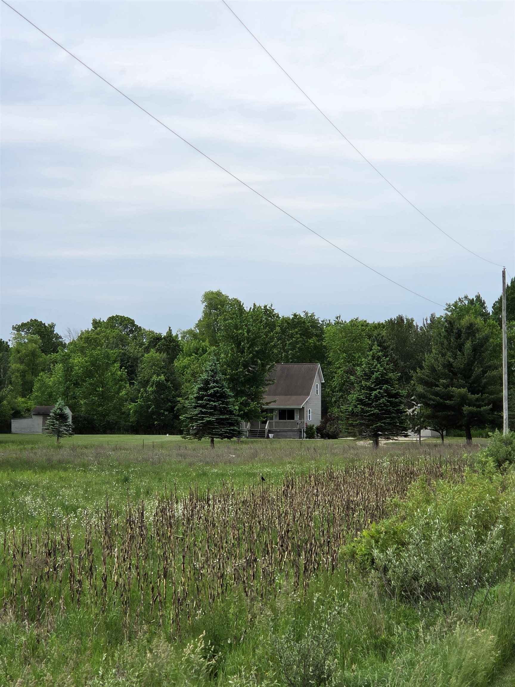 2835 Grass Lake Road Gladwin, MI 48624 - Photo 8 of 50 Gallery Image 8