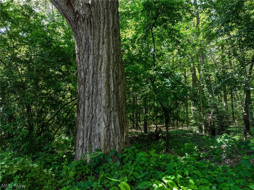 5284 Everhard Road Northwest Canton, OH 44718 - Photo 29 of 36 View of mother earth's splendor