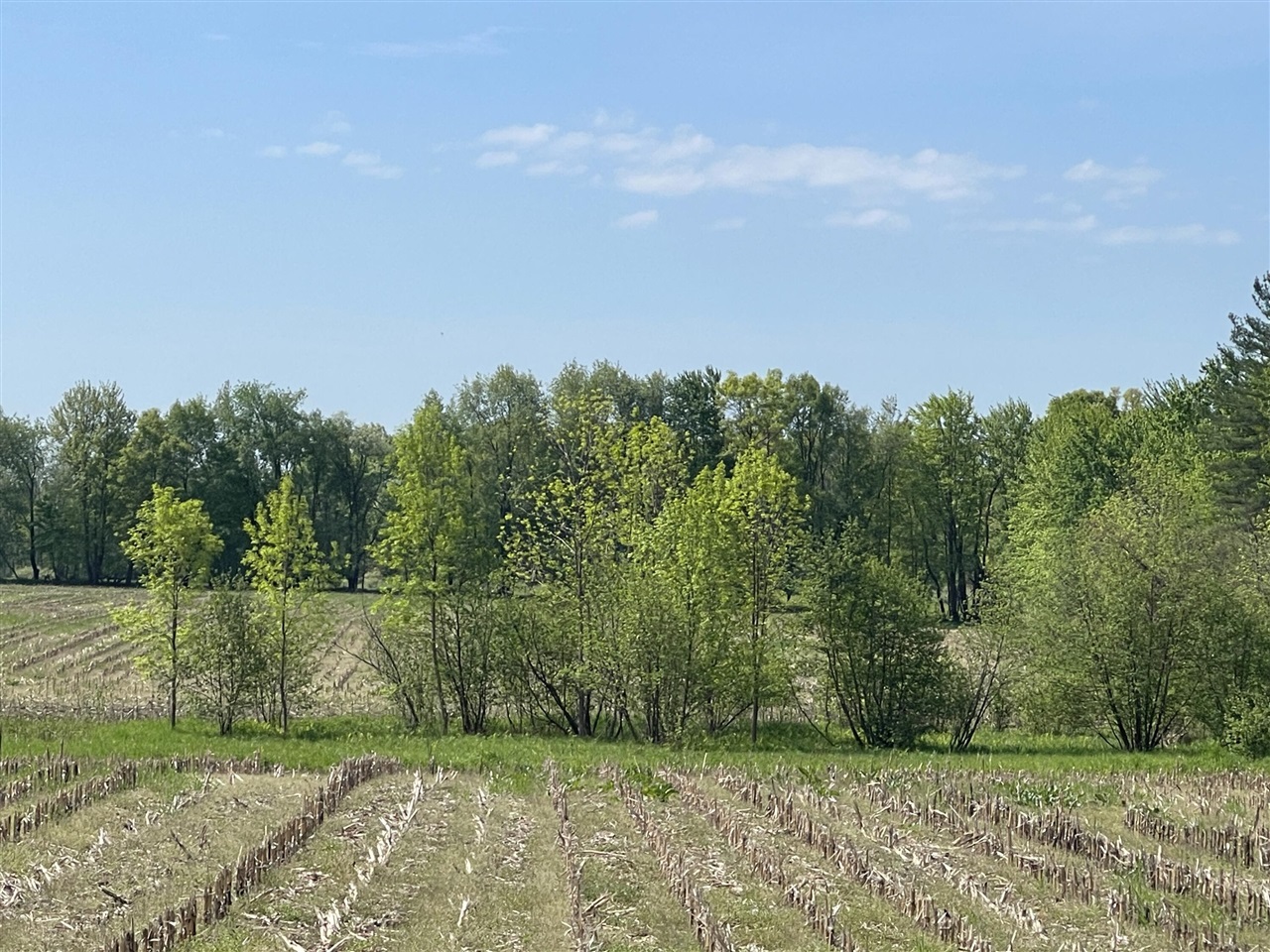 4514 22 Mile Road Northeast, Unit PARCEL 1 Sand Lake, MI 49343 - Photo 4 of 17