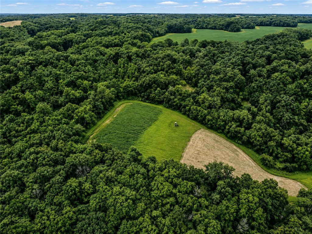 300 N Road Lerna, IL 62440 - Photo 1 of 2