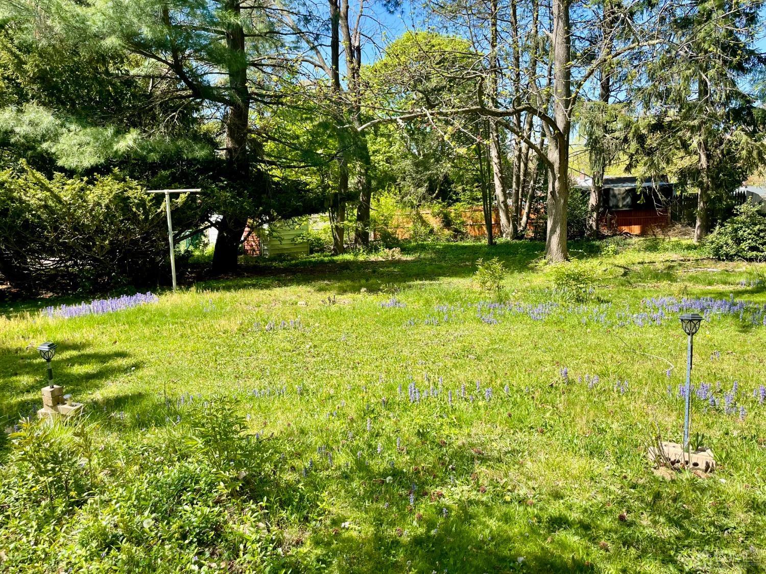 336 Dutch Neck Road East Windsor, NJ 08520 - Photo 16 of 16 a view of swimming pool