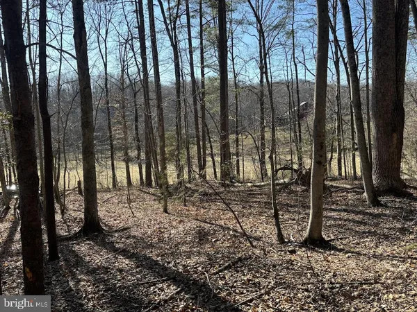 $165,000 | Tbd Duet Road, Madison, VA 22727