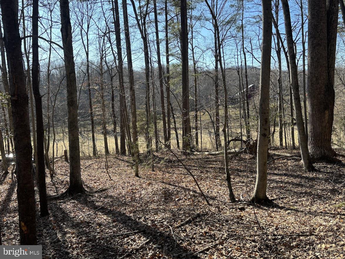 View from lot.