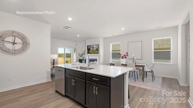 a kitchen with a sink cabinets and wooden floor