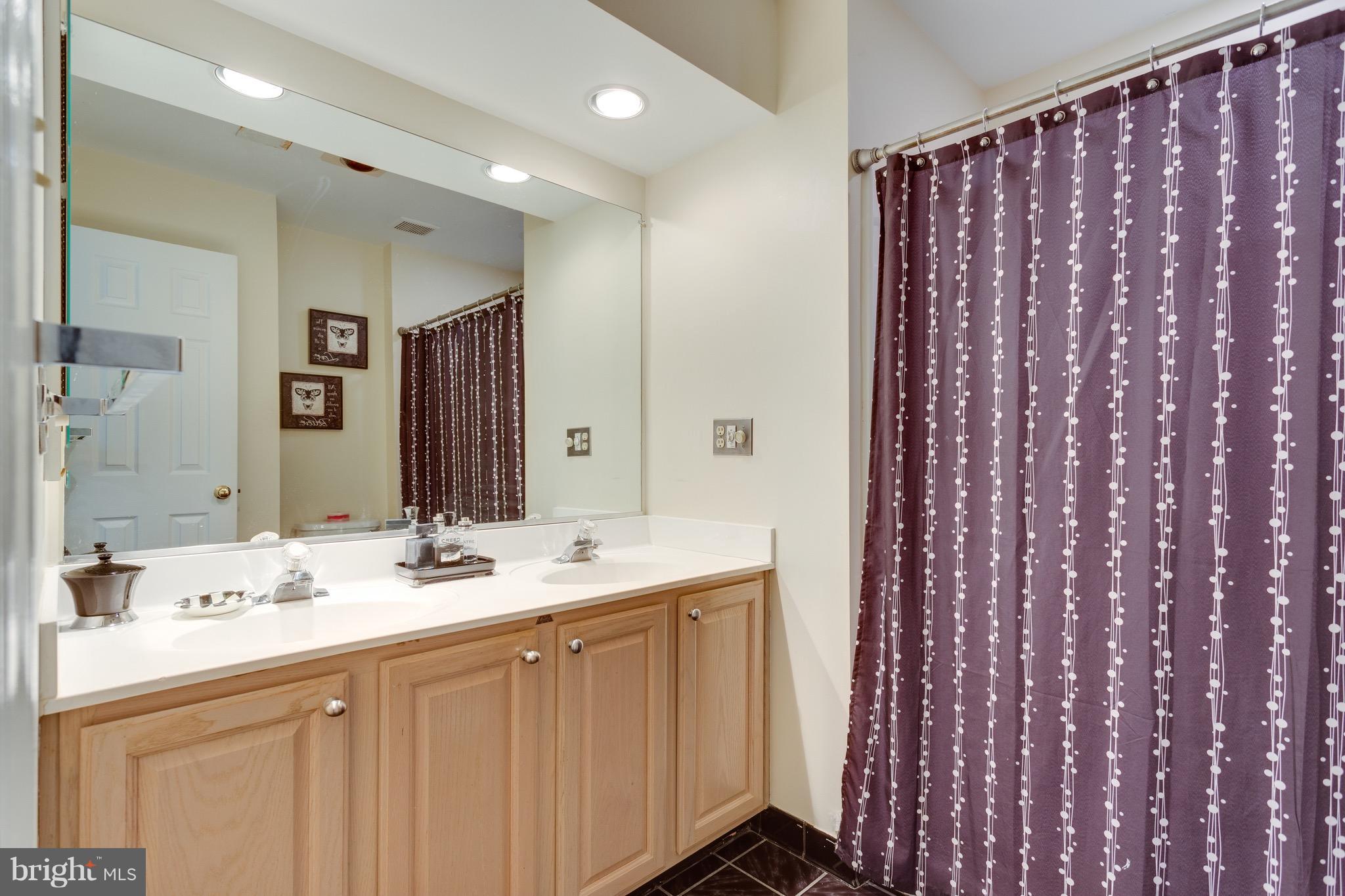 8607 Beech Hollow Lane Springfield, VA 22153 - Photo 15 of 26 Bath (Master)