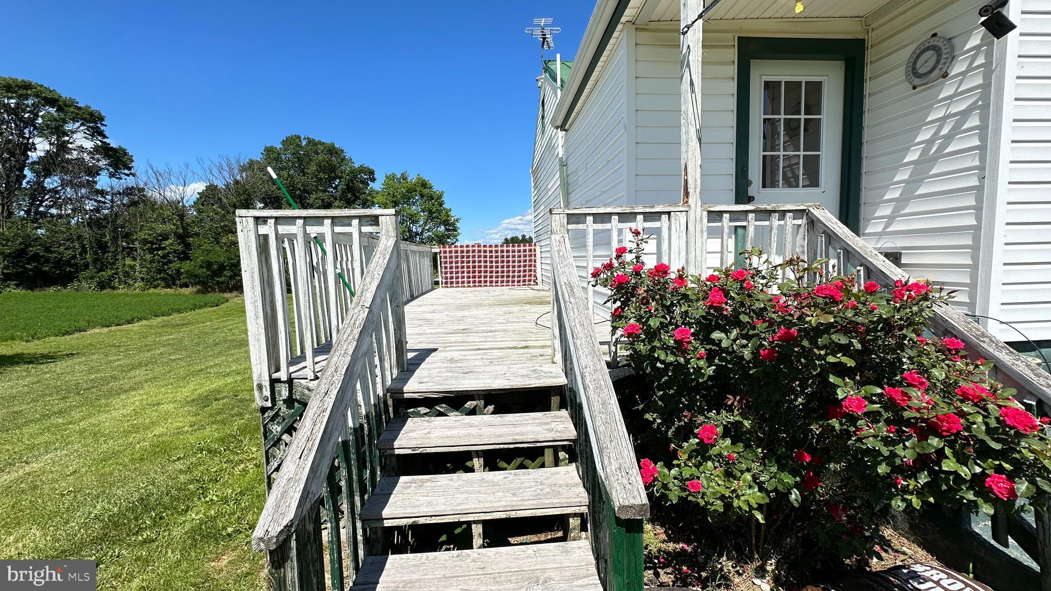 3233 Newport Road Shenandoah, VA 22849 - Photo 53 of 55