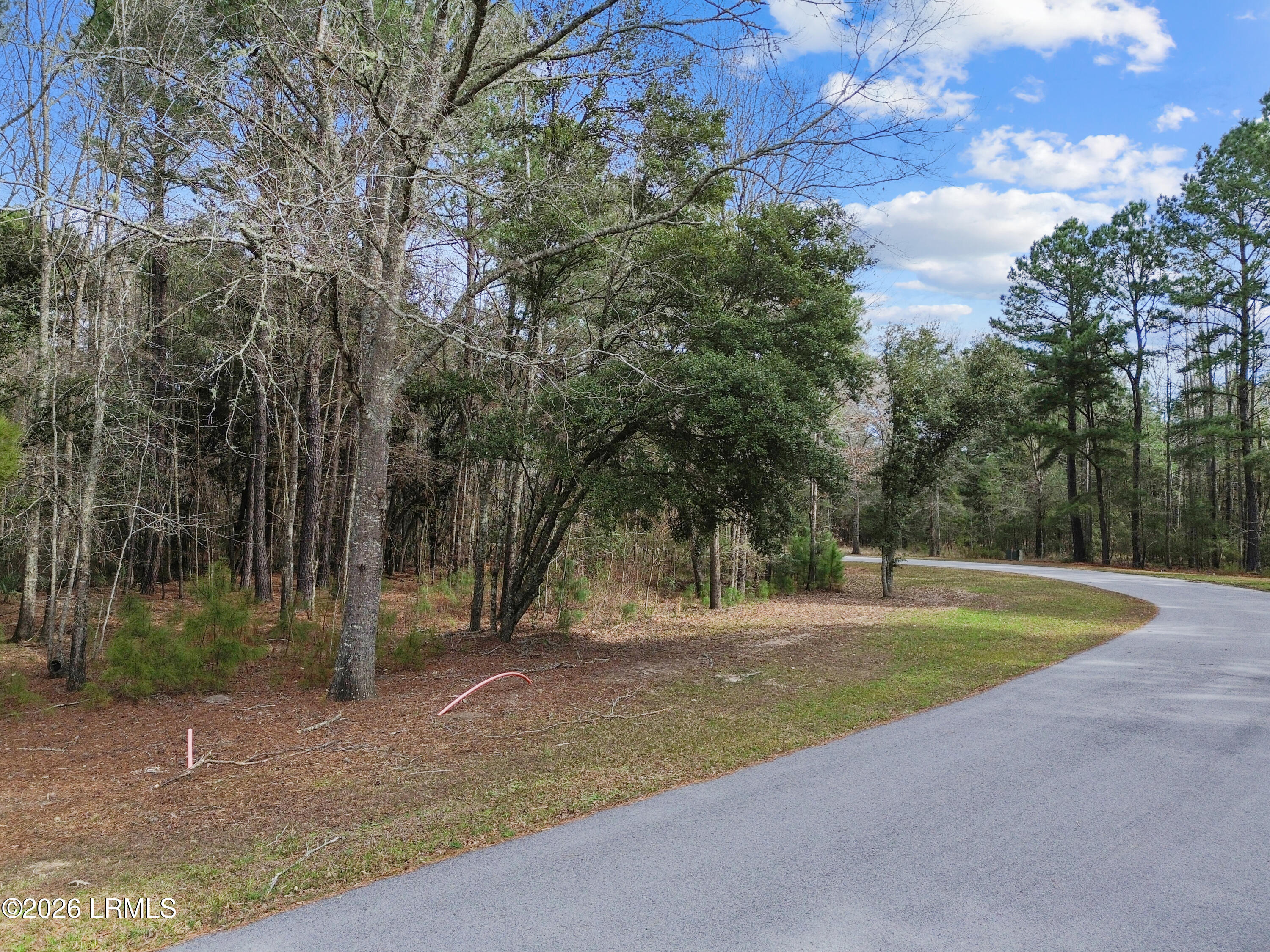 125 Twickenham Loop Yemassee, SC 29945 - Photo 11 of 12 Lot