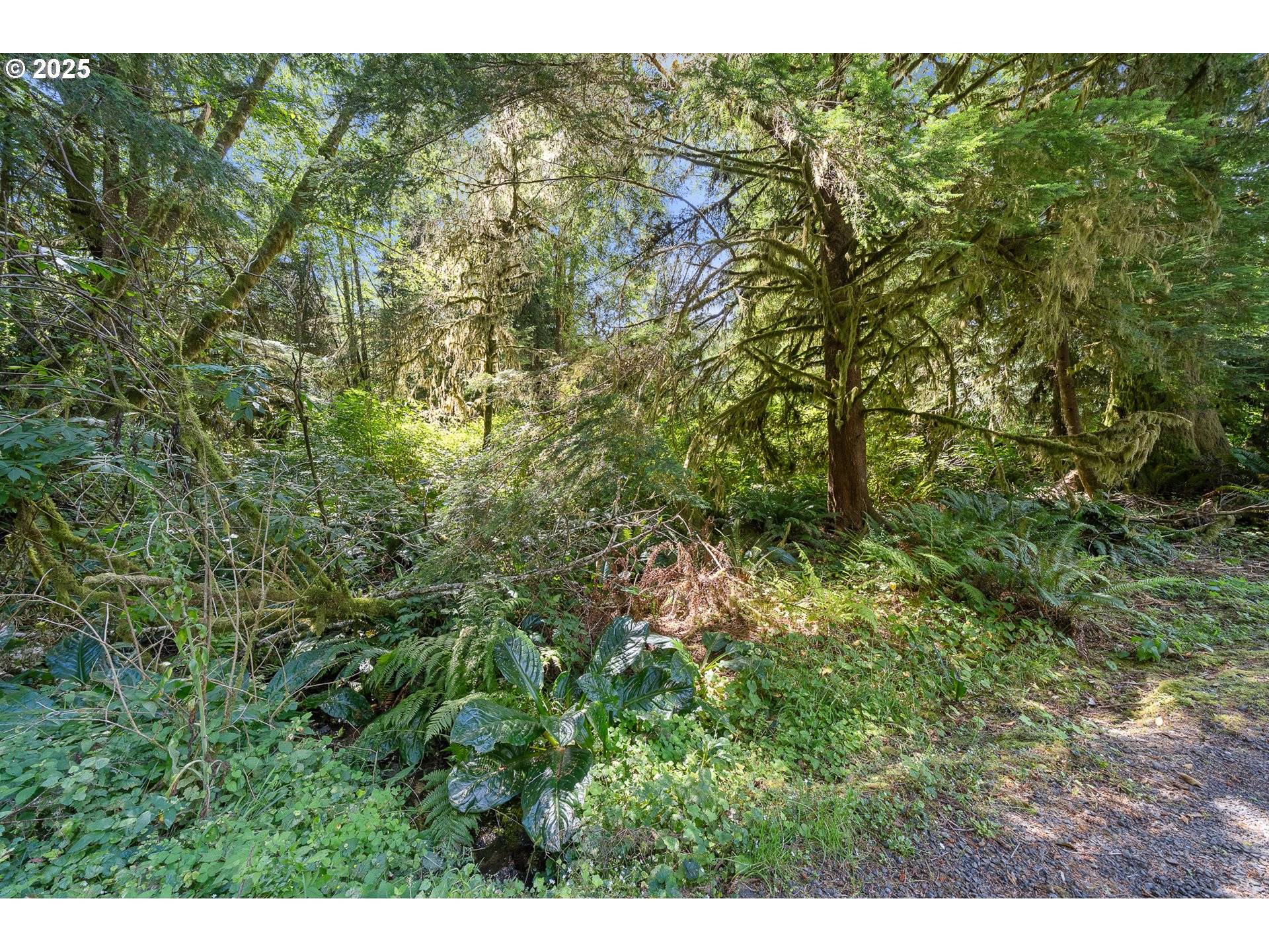 54615 Cascade Trce Road Neskowin, OR 97149 - Photo 13 of 13