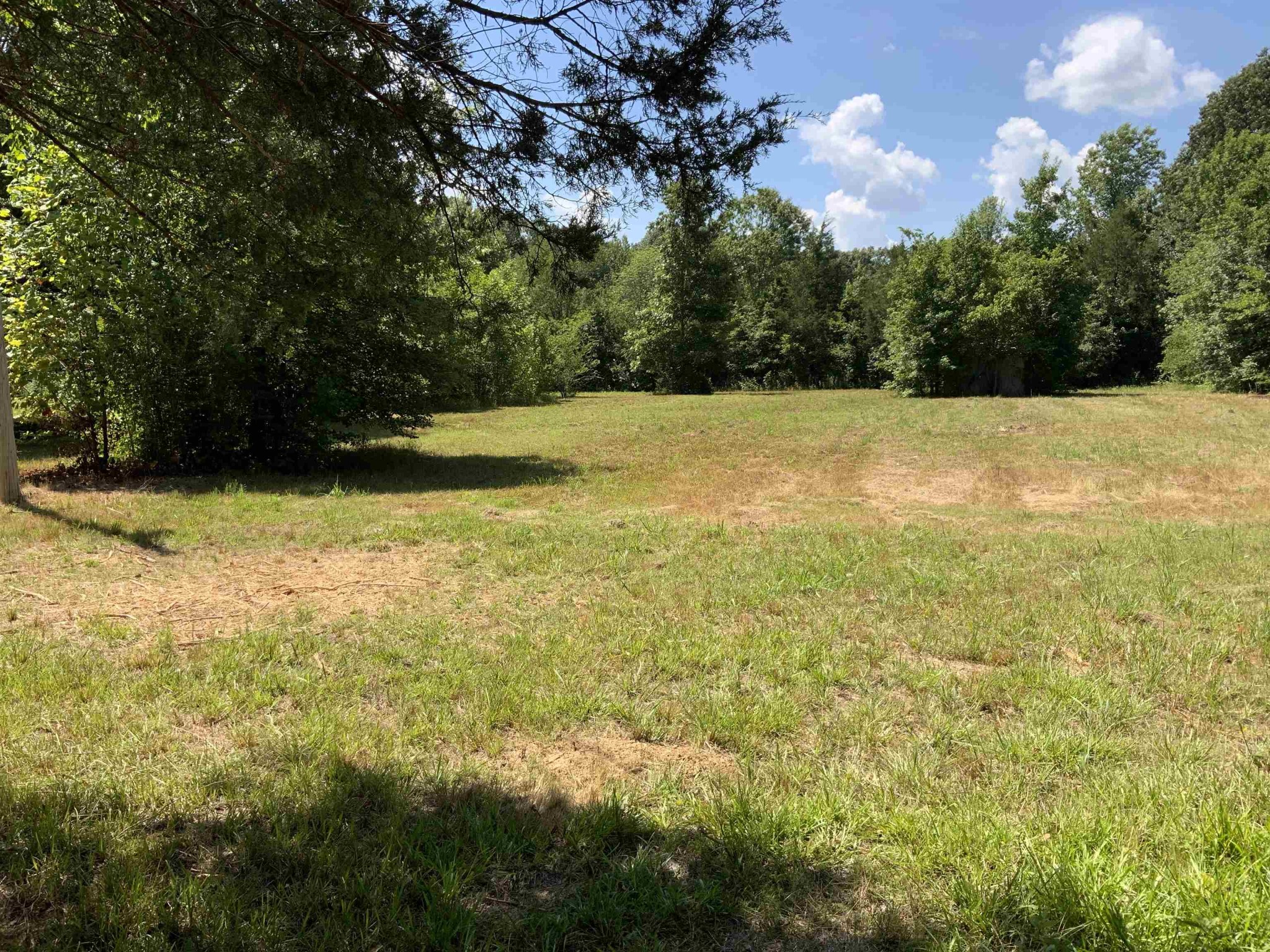 0 West Old Tow Road Middleton, TN 38052 - Photo 1 of 4 Gallery Image 1