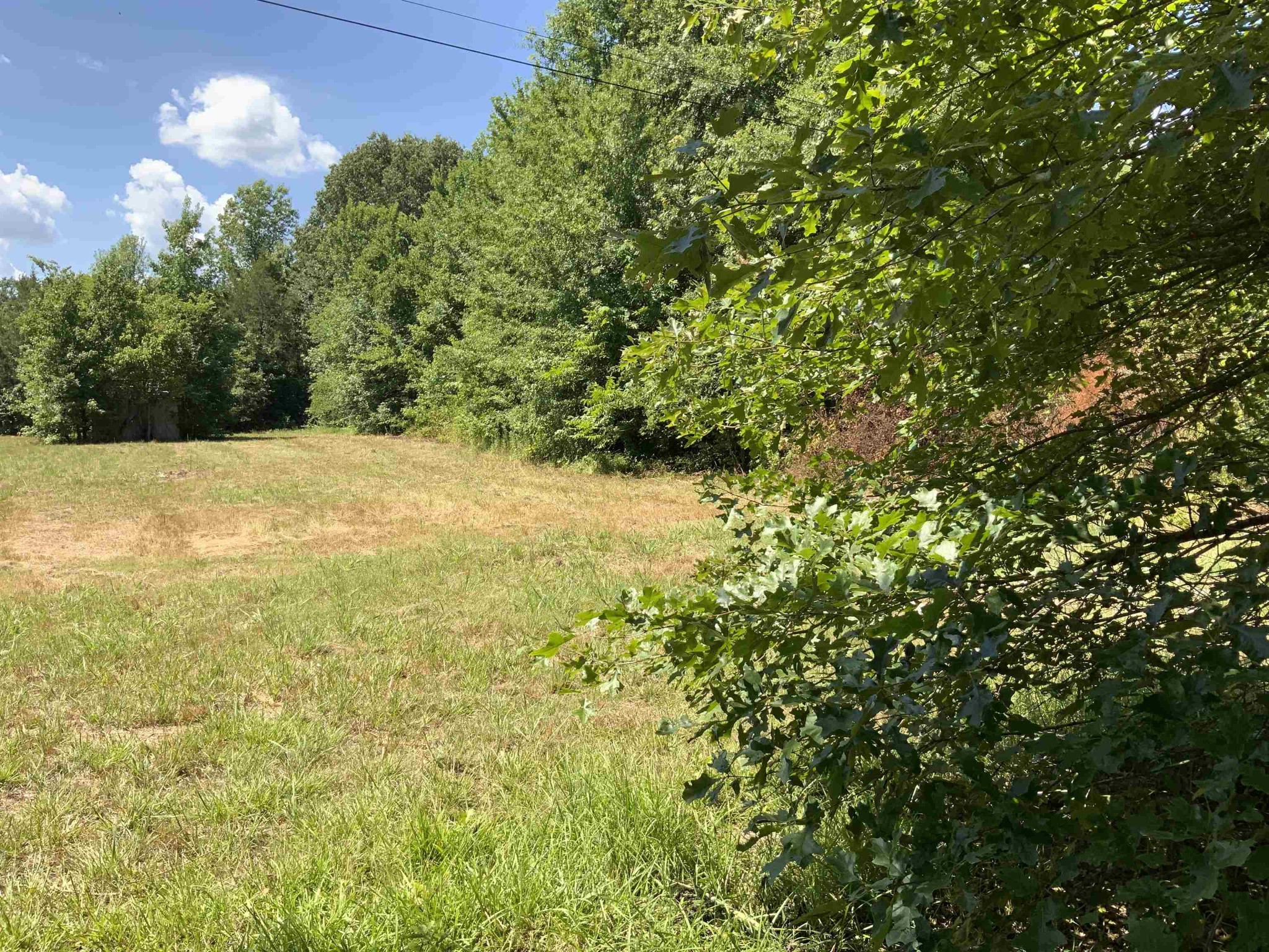 0 West Old Tow Road Middleton, TN 38052 - Photo 3 of 4 Gallery Image 3