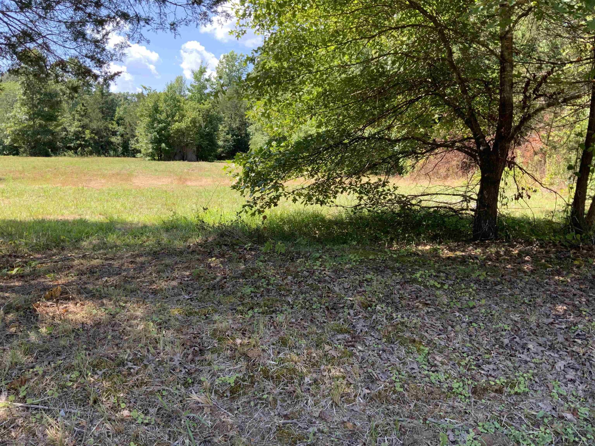 0 West Old Tow Road Middleton, TN 38052 - Photo 4 of 4 Gallery Image 4