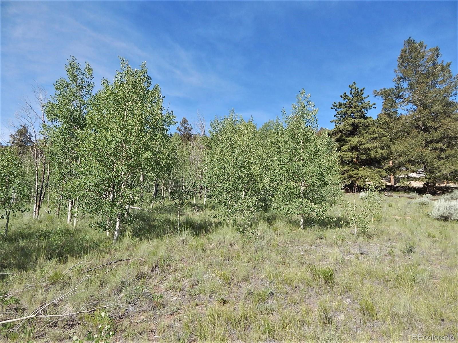 Lot452 Redhill Road Fairplay, CO 80440 - Photo 19 of 23 Gallery Image 19