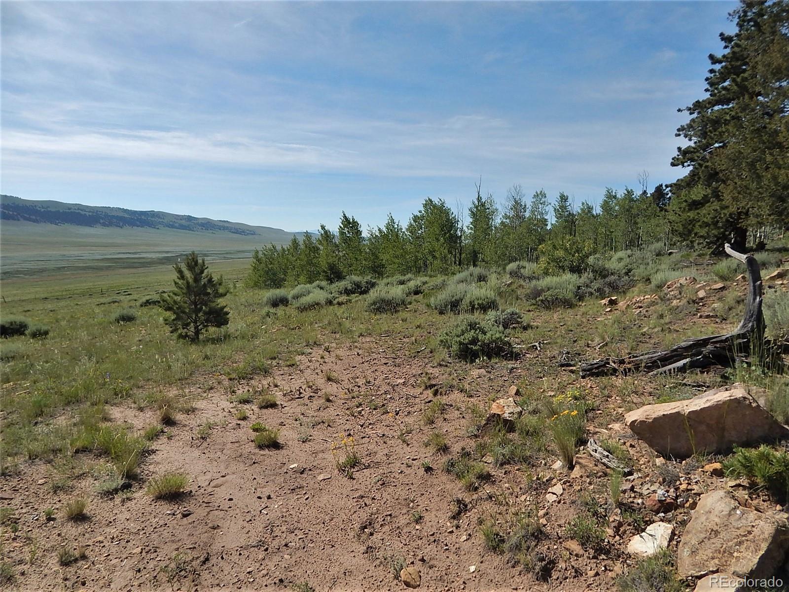Lot452 Redhill Road Fairplay, CO 80440 - Photo 23 of 23 Gallery Image 23