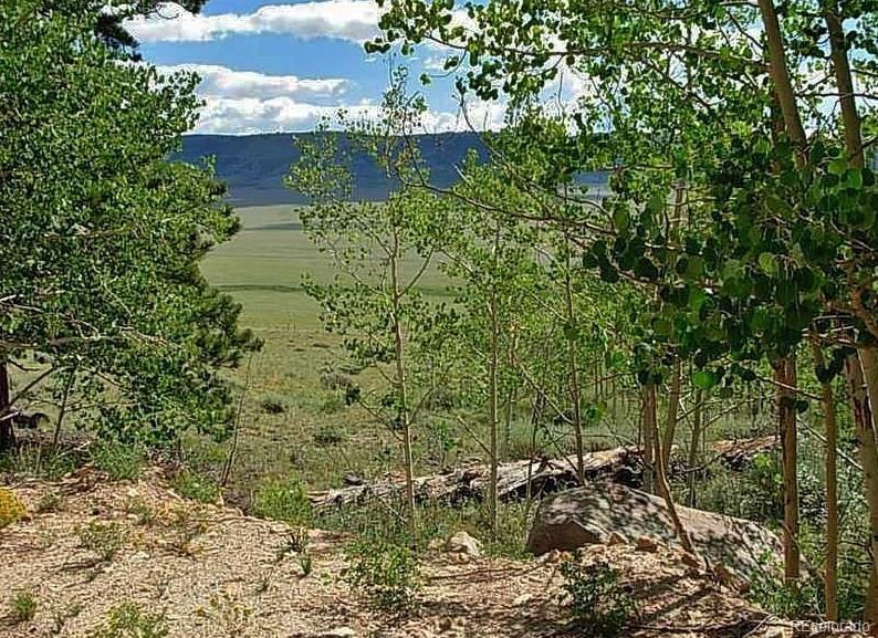 Lot452 Redhill Road Fairplay, CO 80440 - Photo 10 of 23 Gallery Image 10