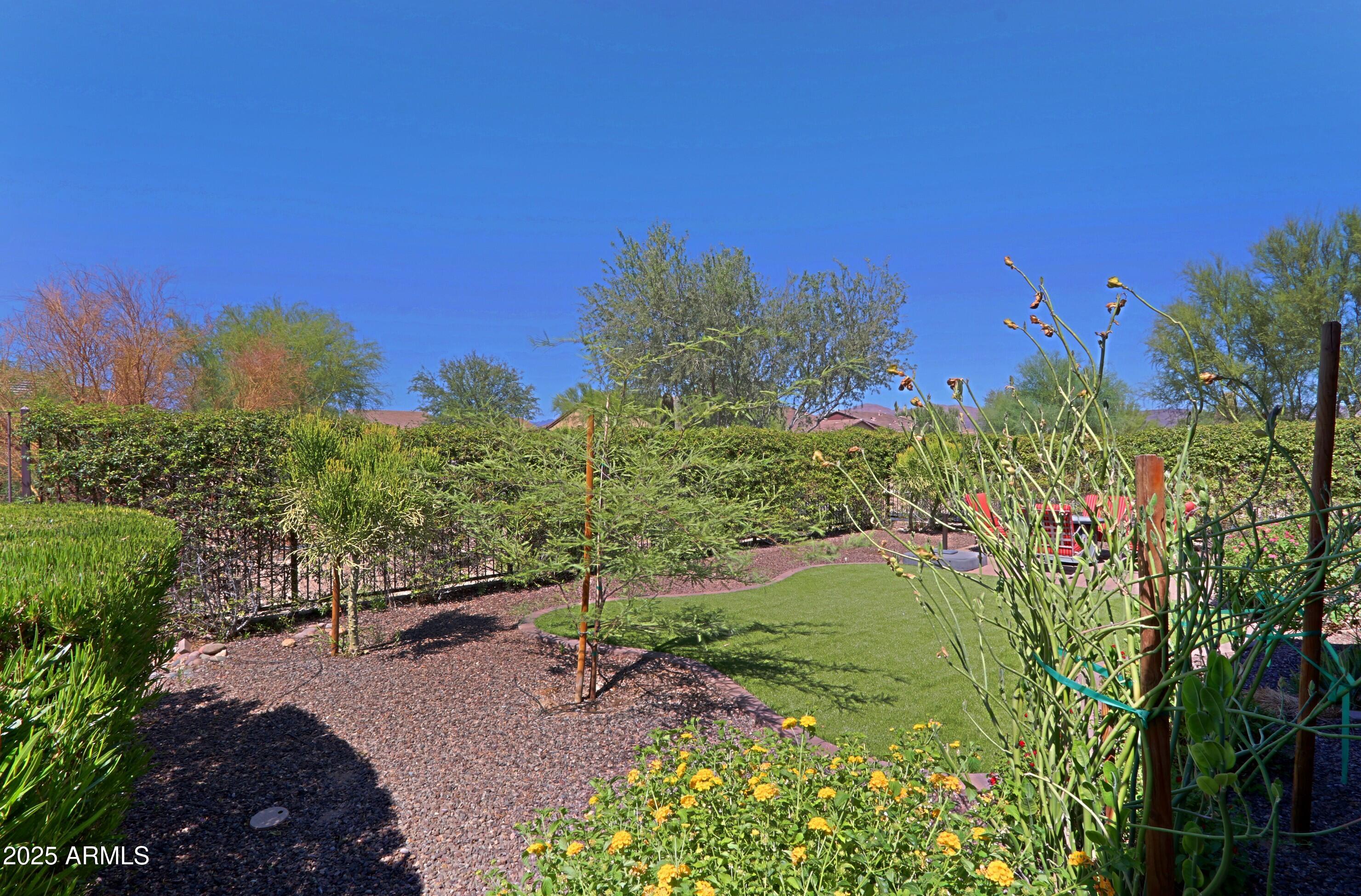 18004 East Silver Sage Lane Rio Verde, AZ 85263 - Photo 48 of 92 Backyard 2