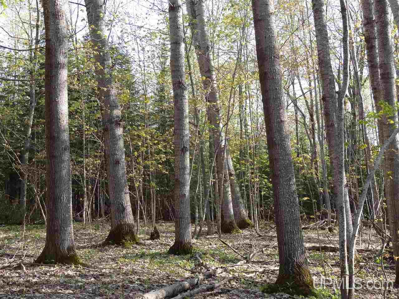 Tbd Rauhala Road, Unit PARCEL 2 Atlantic Mine, MI 49931 - Photo 16 of 19 Gallery Image 16
