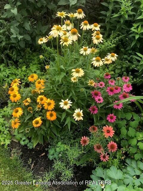 417 Kensington Road East Lansing, MI 48823 - Photo 31 of 31 Summer Garden