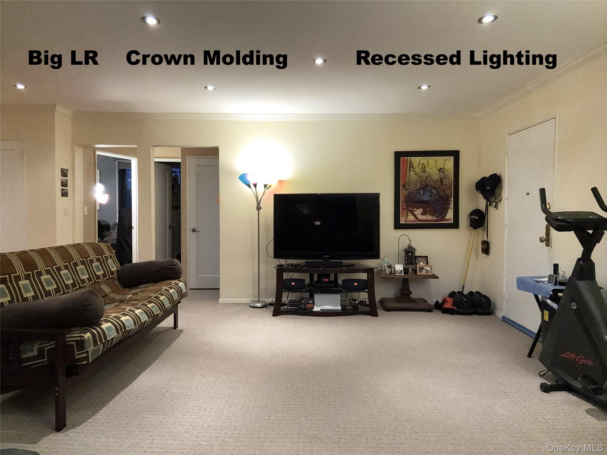 245-48 62nd Avenue, Unit UPPER 2/3BR Queens, NY 11362 - Photo 17 of 29 a living room with furniture and a flat screen tv