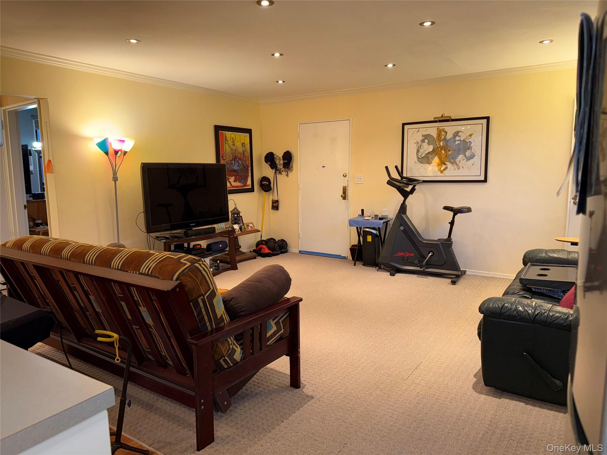 245-48 62nd Avenue, Unit UPPER 2/3BR Queens, NY 11362 - Photo 20 of 29 a living room with furniture and a flat screen tv