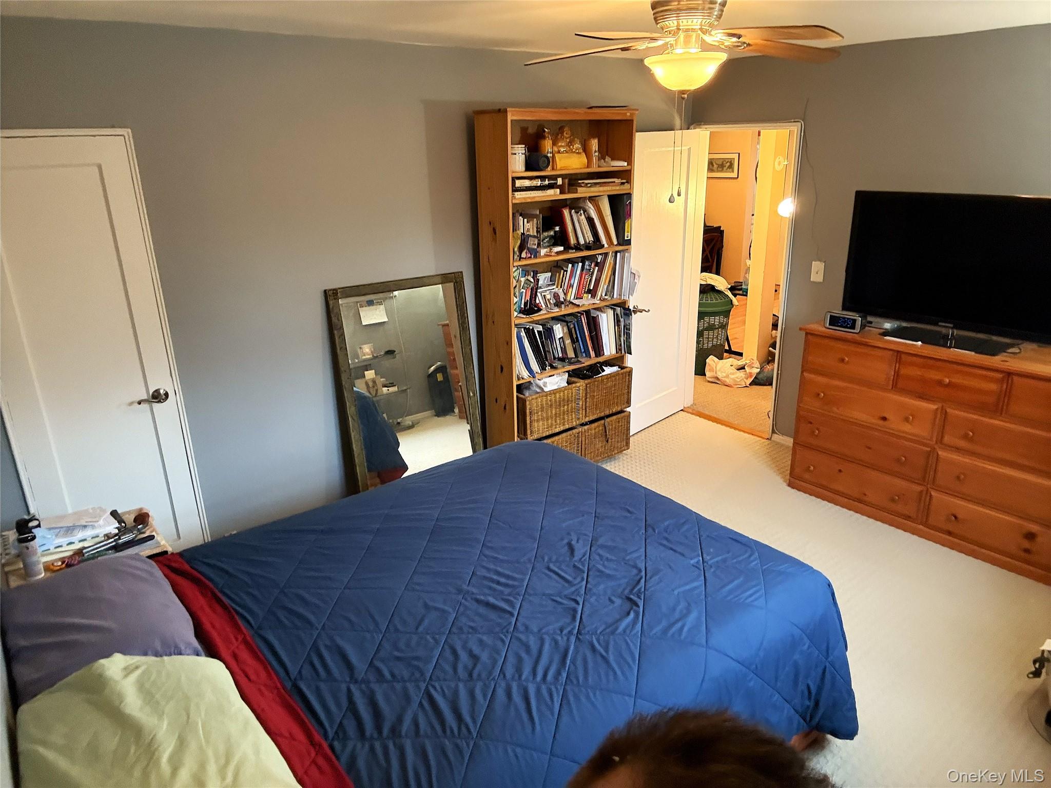 245-48 62nd Avenue, Unit UPPER 2/3BR Queens, NY 11362 - Photo 6 of 29 a bedroom with a bed and a flat screen tv