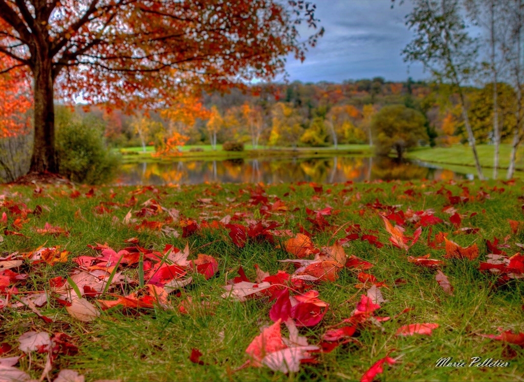 52 Pineswamp Road Ipswich, MA 01938 - Photo 40 of 41 a view of a lake
