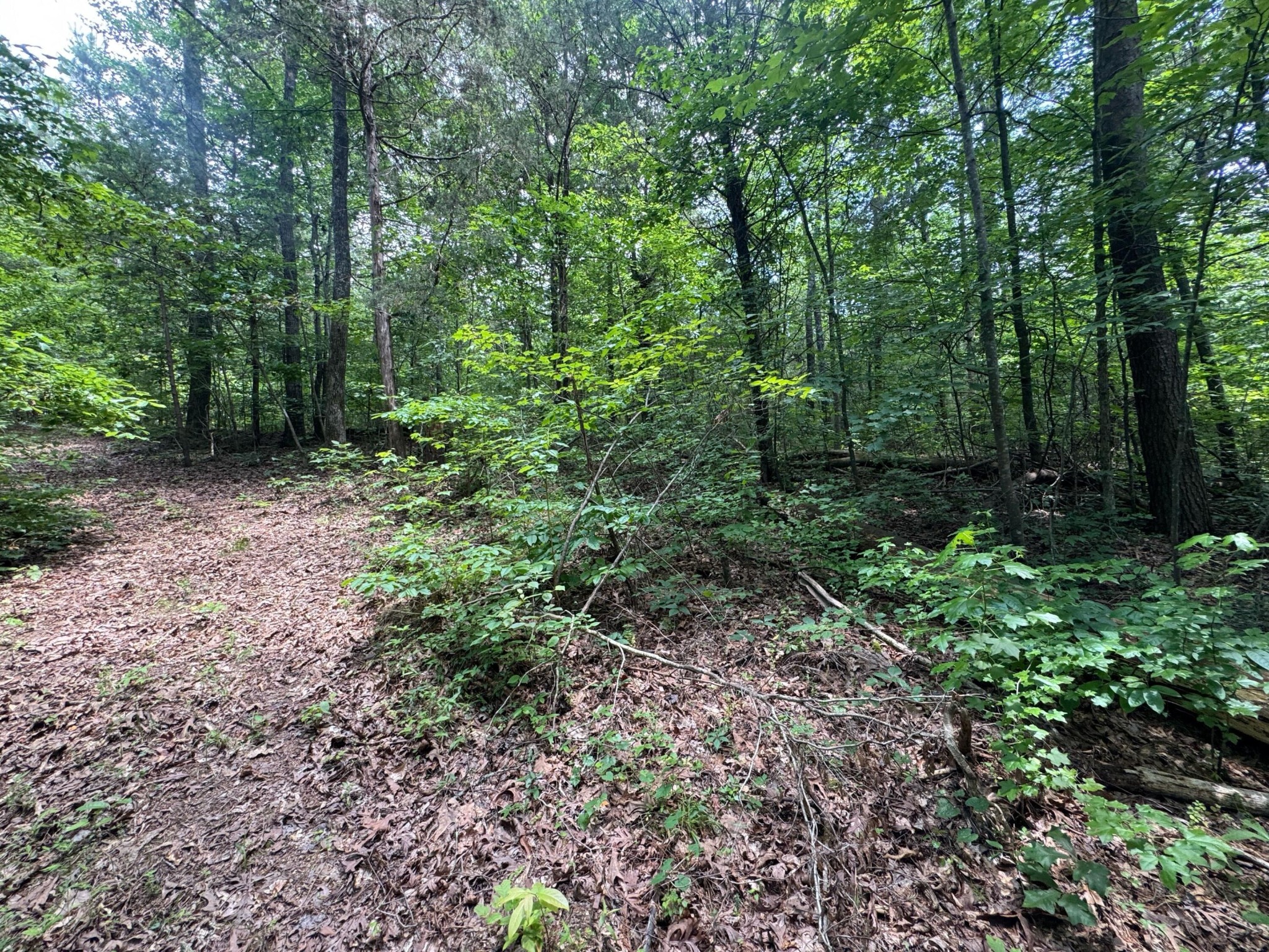 14 Gatlin Road Northeast Cleveland, TN 37323 - Photo 10 of 10 Gallery Image 10