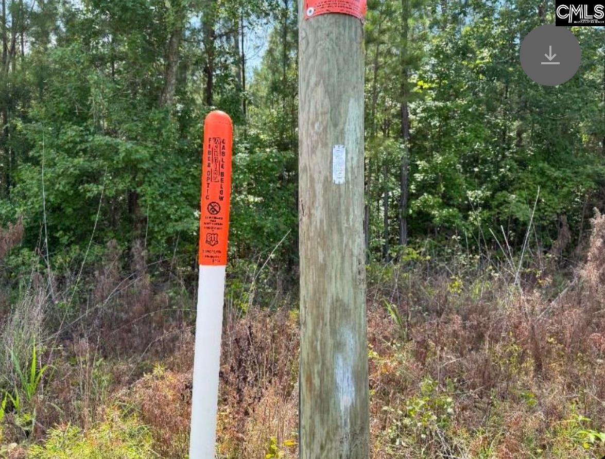 Lot L Old Edgefield Road Troy, SC 29848 - Photo 3 of 6
