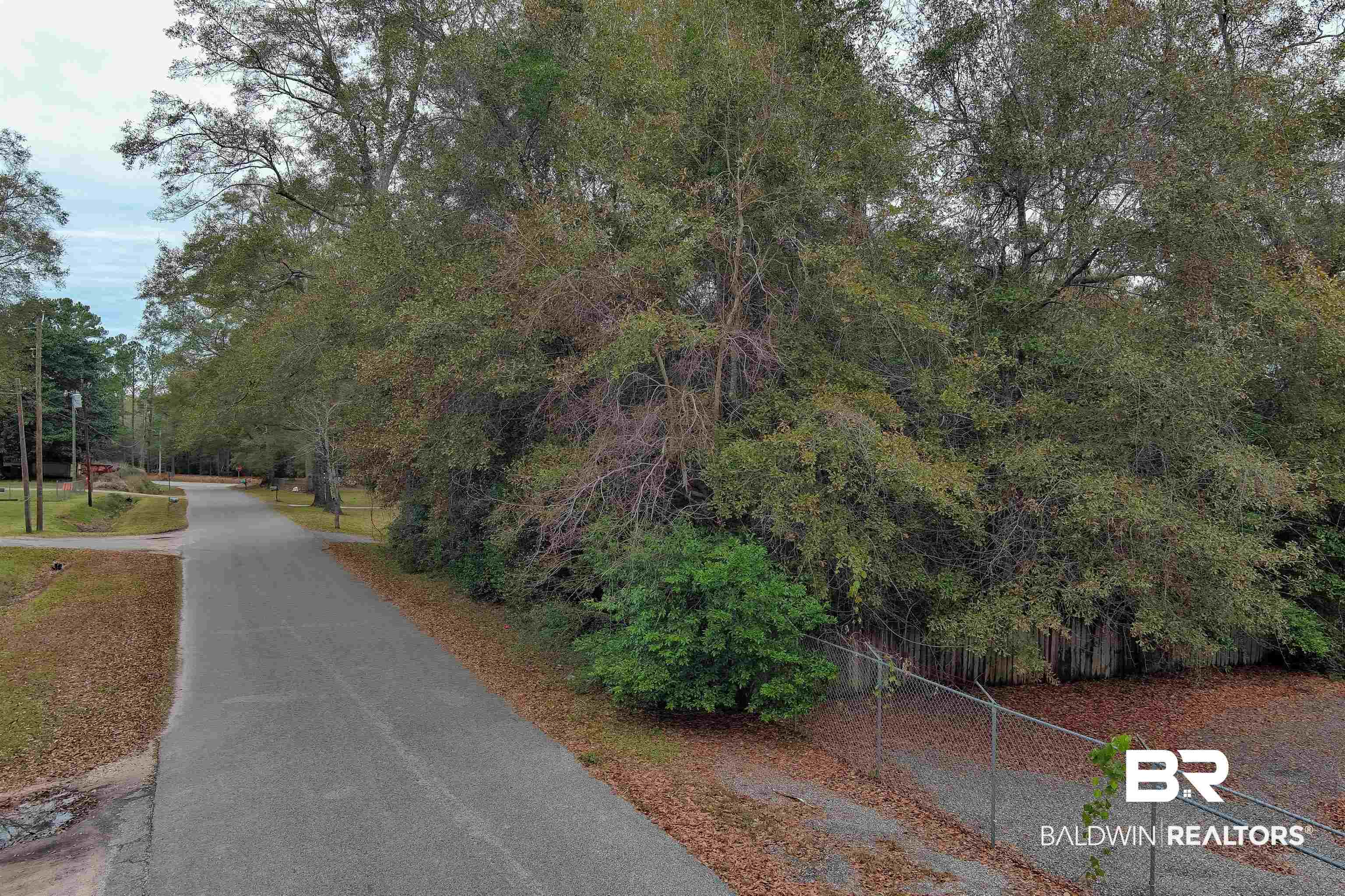 0 Magnolia Road Theodore, AL 36582 - Photo 1 of 9