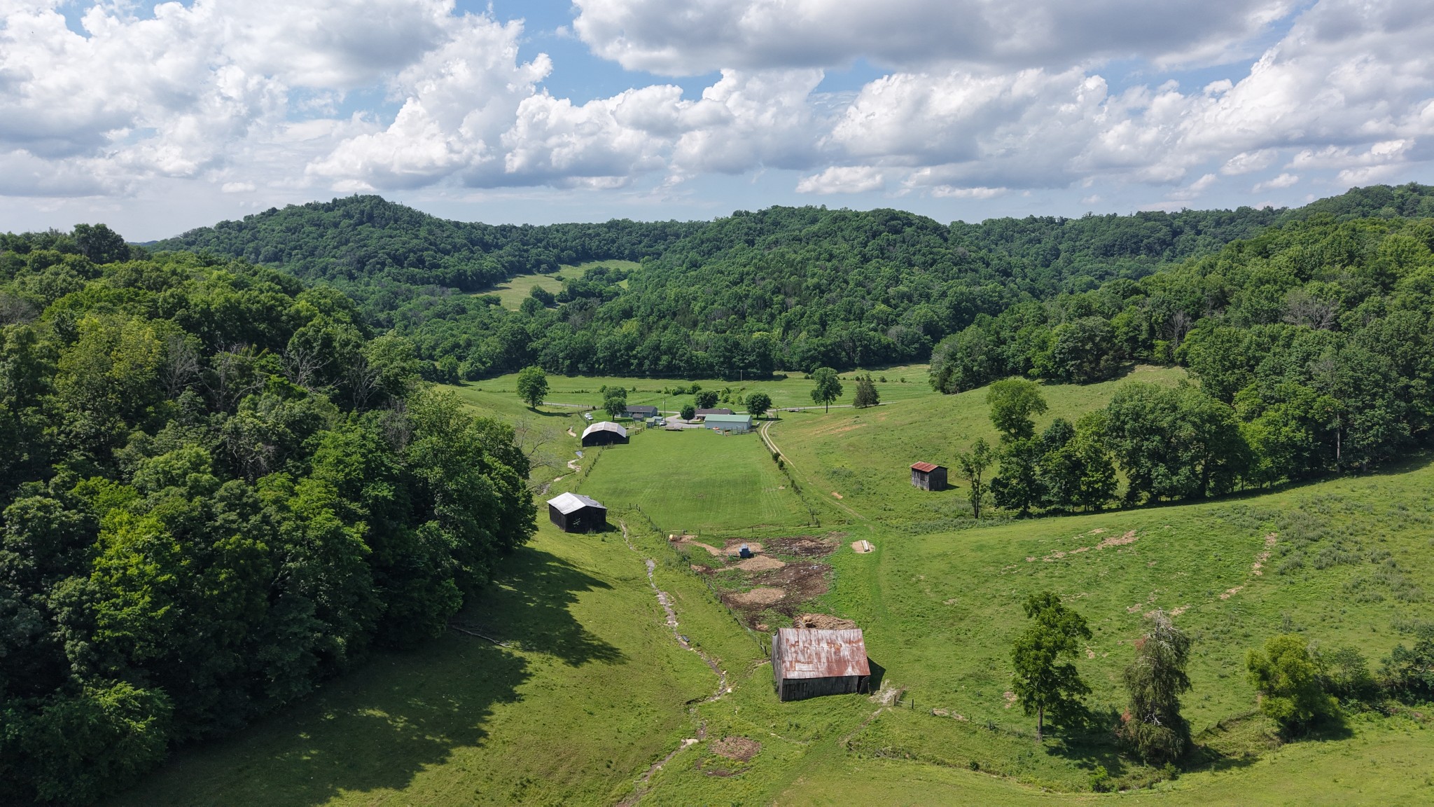 1358 Dry Branch Road Dixon Springs, TN 37057 - Photo 45 of 98