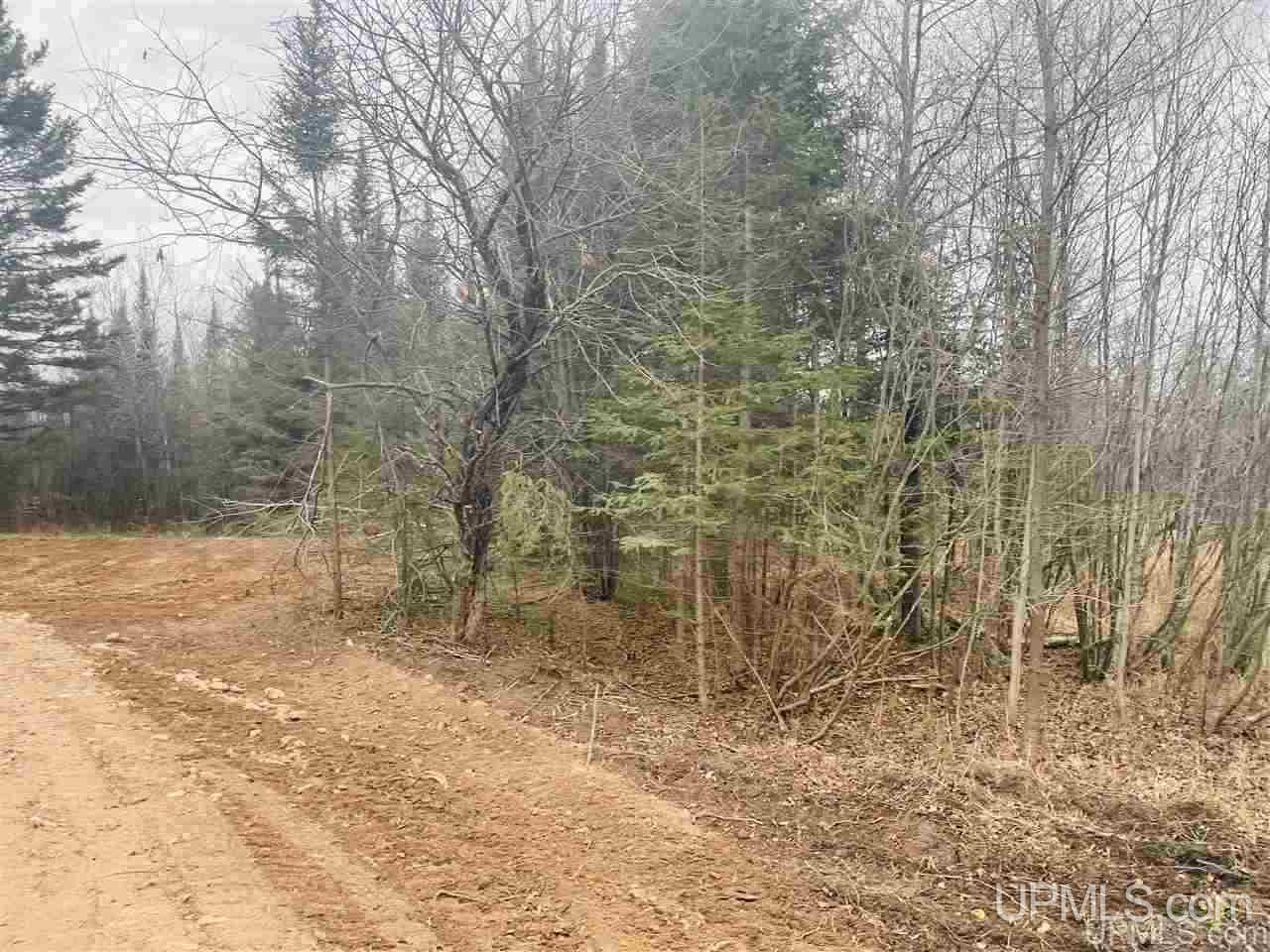 Tbd St Nicholas Road Rock, MI 49880 - Photo 5 of 22